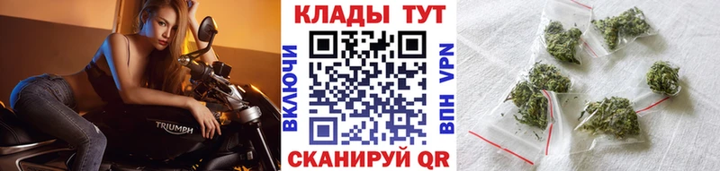 Продажа наркотиков Новотитаровская Псилоцибиновые грибы  Кокаин  ГАШ  А ПВП  Мефедрон  Бошки Шишки 