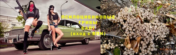 винт Мегион