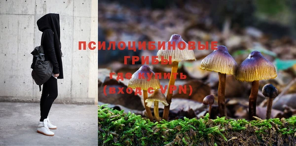 бошки Медвежьегорск