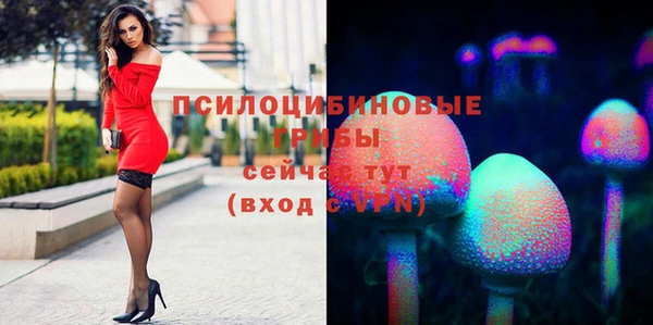 бошки Медвежьегорск
