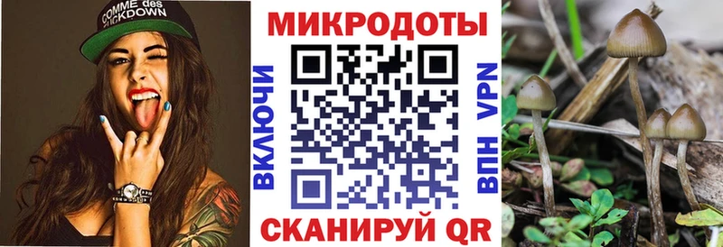 hydra зеркало  купить наркоту  Новотитаровская  Псилоцибиновые грибы GOLDEN TEACHER 